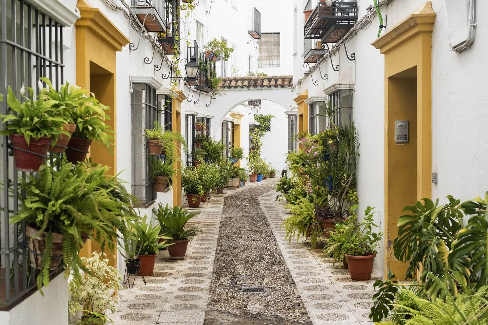 cordoba cordoba is full with jewish history for kids