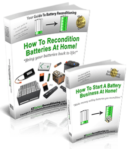 EZBatteryReconditioning.com Program | The EZ Battery ...